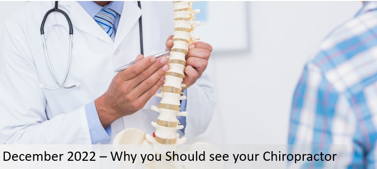 Why it’s Important to see Your Chiropractor