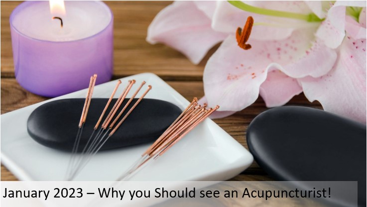 Why you Should See an Acupuncturist!